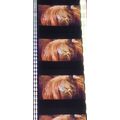 Labyrinth. Pk VZA - C070r. - 1 STRIP OF 5 - 35M...