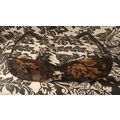 Ralph Lauren Women's Brown Sunglasses