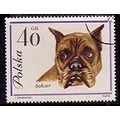 Poland 1963 Dogs 40gr Used Stamp.