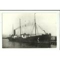 Anglo American Oil Co. SS POTOMAC Postcard