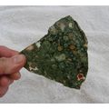 Rhyolite Slab Raw Gemstone Rain Forest Jasper R...