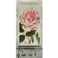 1914 Wills Roses 2nd Series No. 95 Mrs. Richard...