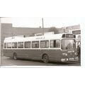 Black & White Photograph of London Country Bus ...