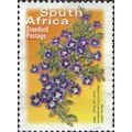 SOUTH AFRICA, FLOWER, Aptosimum procumbans, yel...