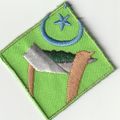Scout?? Proficiency?? Badge - Non UK - White Ba...