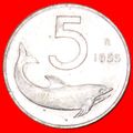 DOLPHIN: ITALY ★ 5 LIRA 1955R!!! LOW START★NO R...