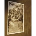 Real photo Postcard - Swallow Waterfalls, Bettw...