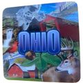 Ohio 3D Drink Coasters 4 Pack