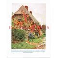 Worcestershire Cottage, England, Book Illustrat...