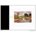 IN THE MOOSE COUNTRY NEAR LAKE SUPERIOR, Book I...
