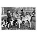 pt2022 - His 1st Meet , Wentworth Woodhouse, Yo...