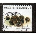BEL 2007 (52c)(S/A) 'FRUIT- BLACKBERRIES' FINE ...
