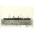 White Star Line SS MAJESTIC Postcard (Pamlin SM...