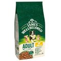 James Wellbeloved Adult Dog Hypoallergenic Lamb...