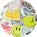 25 Stickers Loose Random Selection VCSO Waterpr...