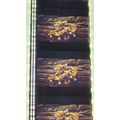 Labyrinth. Pk VBC - a011K. - 1 STRIP OF 5 - 35M...