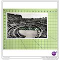 INTERNO COLOSSEO, ROMA (ROME), ITALY, Postcard