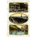 POSTCARD Southport Municipal Gardens Botanic Ga...