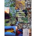 Extra Hidden Life, Among The Days