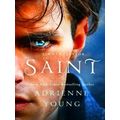 World of the Narrows: Saint