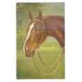 HORSE'S HEAD unused vintage postcard by J. Salm...