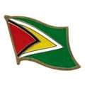 Guyana Flag Hat Tac or Lapel Pin