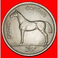 Ⰶ GREAT BRITAIN (1951-1967): IRELAND ★ 1/2 CROW...