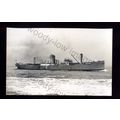 bf1792 - Prince Line Cargo Ship - Arabian Princ...