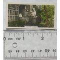 J. A. Pattreiouex Real Photos card - Country Go...