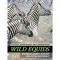 Wild Equids