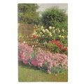 FLOWERS IN the GARDEN ..used vintage postcard b...