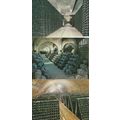 Cavas Codorniu Wine Cellar Vault 3x Postcard s