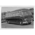 tm3629 - Coach & Bus - YLD 227 - photograph