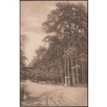 View at Waverley near Farnham, Surrey, c.1910s ...