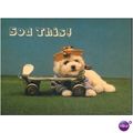 GB Postcard - Animal Tales 1V by Michael Newler