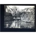 Surrey EWELL Ewell Court Pond Postcard by Frith...