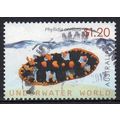 Australia 2012 Underwater World - Phyllidia oce...