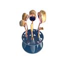 Vanity 6 Piece Oval Beauty Brushes With Caddy O...