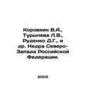 Korovkin V.A., Turyleva L.V., Rudenko D.G., et al. Nedra of the North-West o