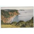 Ness Cove Devon Postcard 348