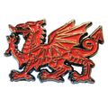 The Welsh Red Dragon National Flag Wales Cymru ...