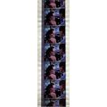 Back to the Future 2. Pk HCH - A013m . - 1 STRI...