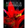 Encyclopedia Of Reptiles And Amphibians