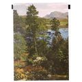 BEINN AIRIDH CHARR, Ross-shire unused postcard ...