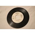 Sam Leopold Promo 45-ANTS AND TOADS/THE CONCUBI...