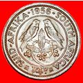 BIRDS (1953-1960): SOUTH AFRICA ★ 1/4 PENNY 195...