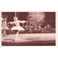 The Nostalgia Postcard 1890's - 1950's - Margot...