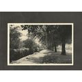 Postcard Berkshire Wokingham Langborough Park