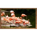 Flamingos by the Water A5 Rustic