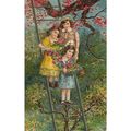CARTE POSTALE - GAUFREE - ref 6